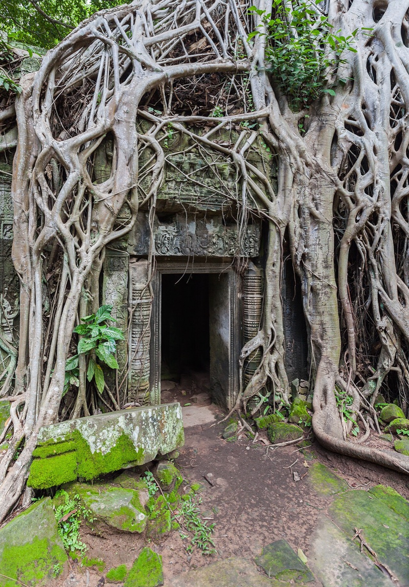 Ta Prohm