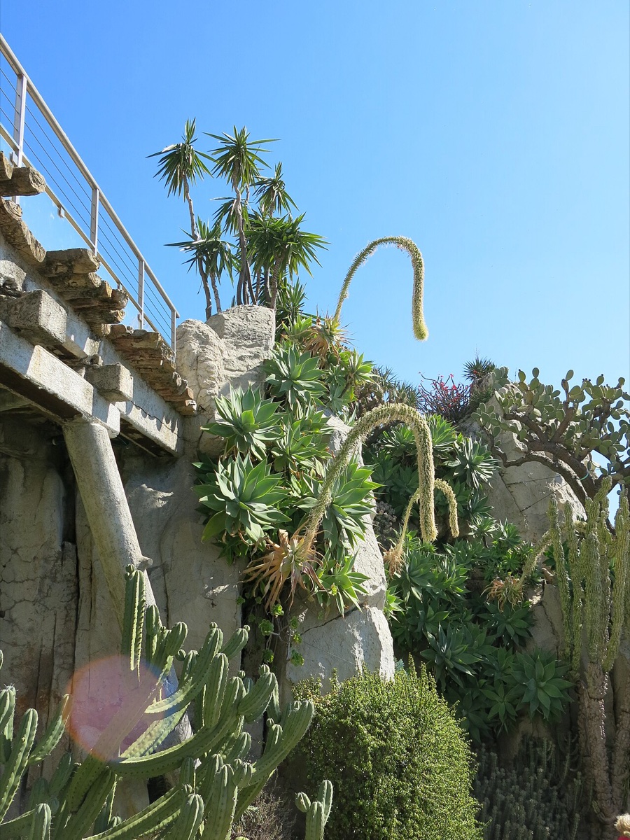 Exotic Garden (Jardin Exotique)